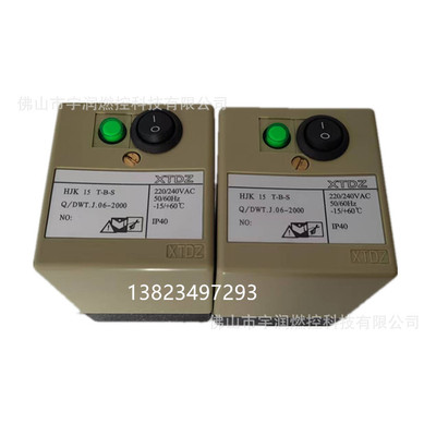 HJK15 T-B-S火焰检测器 火焰控制器 IEW15