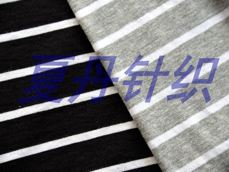 兰精天丝50精梳棉50彩条汗布，PIMA棉长绒棉埃及棉平纹混纺
