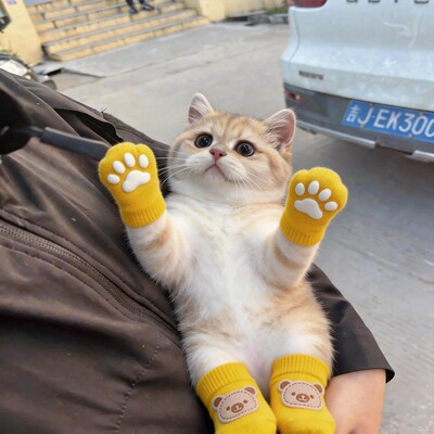 猫咪袜子防抓防脏防滑四季通用透气泰迪比熊小型犬猫咪狗狗室内袜
