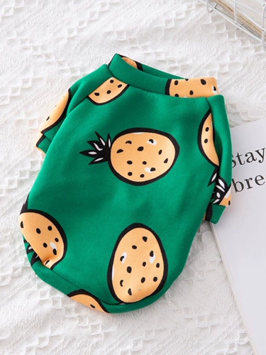 Собачья одежда весна и осенний домашний животный плюшевый медвежь