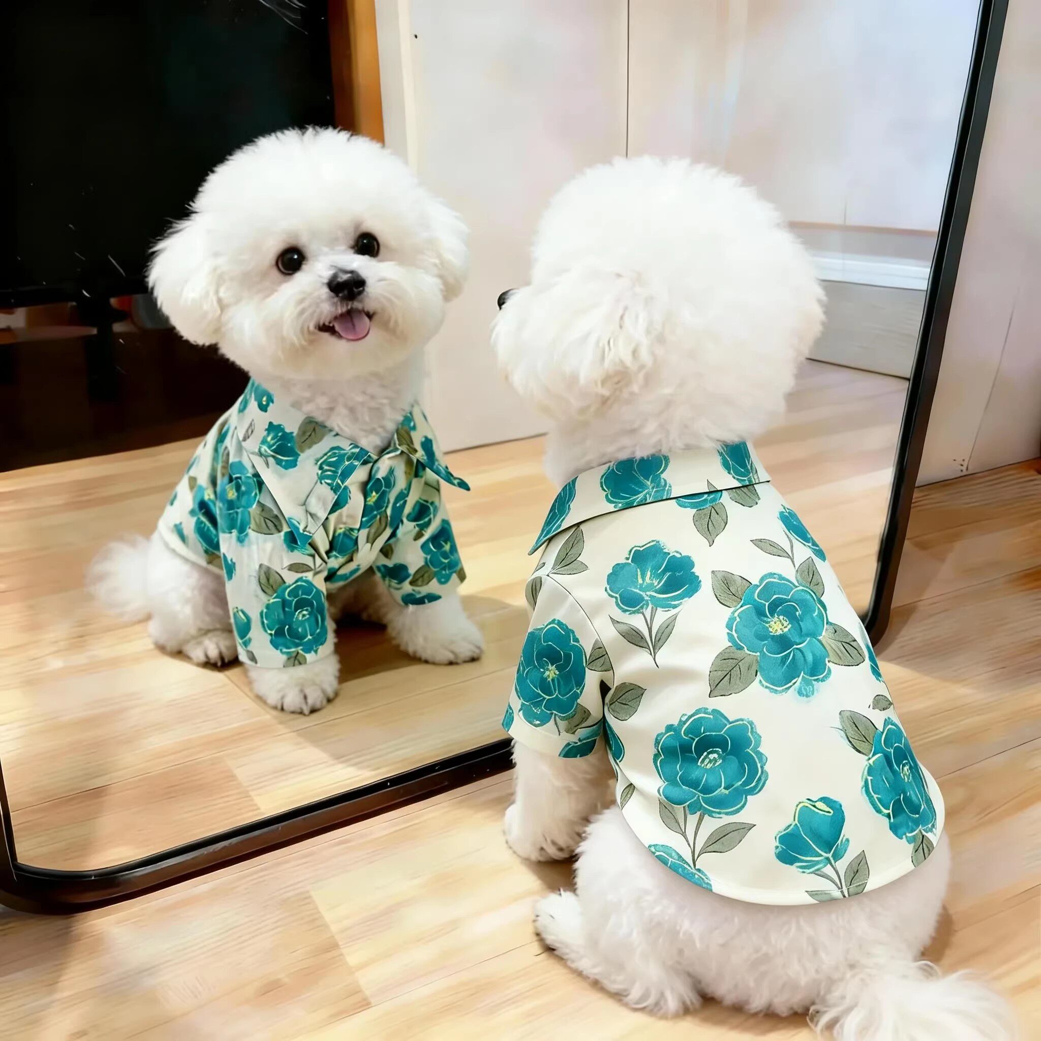 狗狗衣服帅气薄款韩系度假风夏日衬衫比熊博美泰迪宠物猫咪春夏装