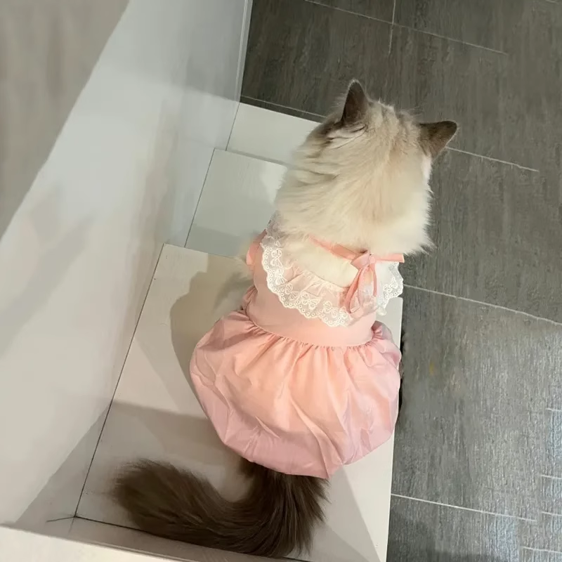 可爱ins公主风裙子夏季薄款防掉毛幼猫狗连衣裙夏天宠物猫咪衣服
