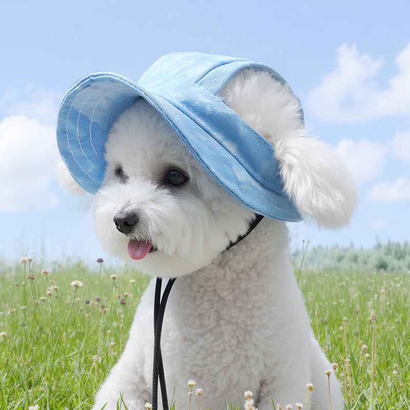 狗狗帽子小型犬比熊專用