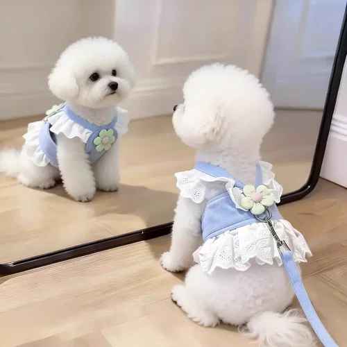 狗狗牵引绳小型犬蕾丝花边胸背裙甜美薄款幼犬外出专用衣服春夏季