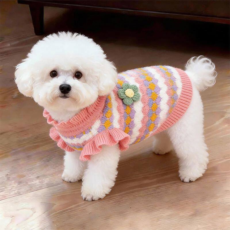 狗狗手工编织毛衣春秋防寒保暖可爱服饰宠物猫咪衣服秋冬居家两脚