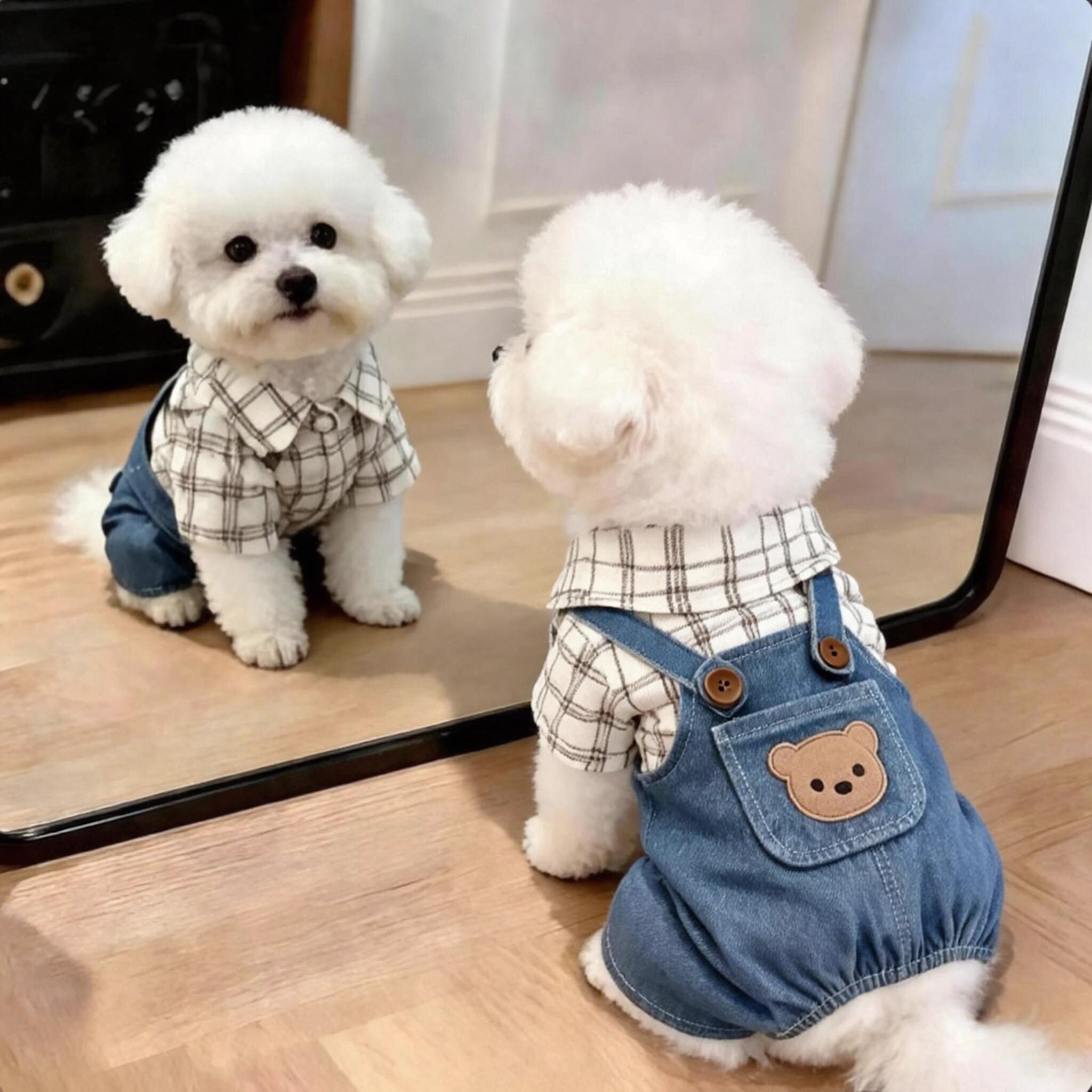 狗狗衣服夏季薄款背带裤泰迪比熊雪纳瑞小型犬春秋装可牵引四脚衣