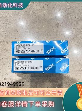 现货WSE250-2P2431 订货号: 6044705
