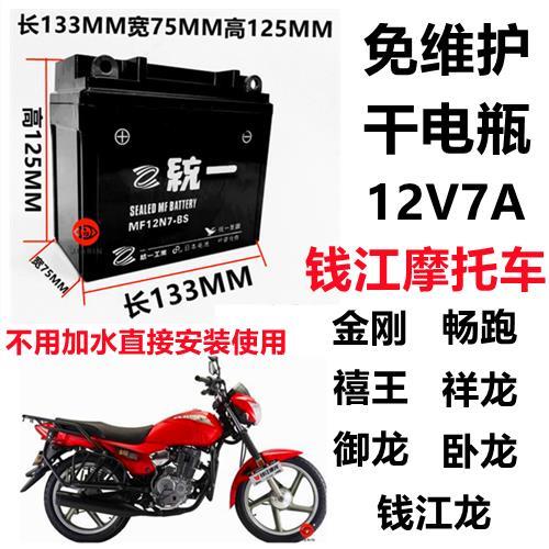 钱江125/150摩托车金刚畅跑禧王御龙祥龙卧龙免维护干电瓶电池