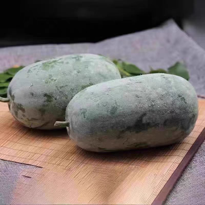 有机冬瓜新鲜蔬菜当季现摘
