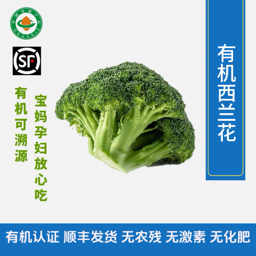 有机西兰花  有机认证无农残新鲜采摘无农残 - 封面