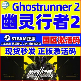 正版 幽灵行者steam国区CDKey激活码 幽灵行者2残暴版 幽灵行者2