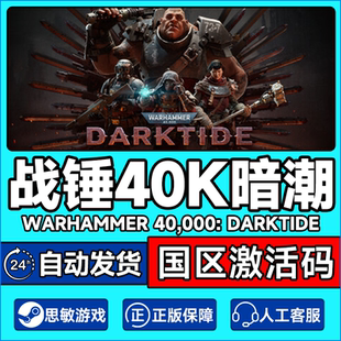 STEAM PC中文正版游戏 战锤40K暗潮 国区激活码cdk 现货秒发