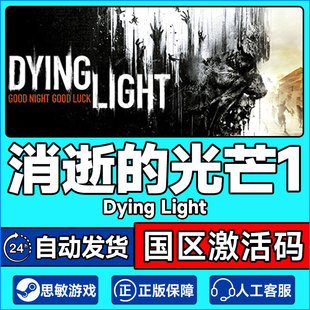 PC游戏Steam 消逝的光芒加强版 消失的光芒信徒DLC 消光1 激活码