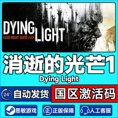 Steam，消逝的光芒国区激活码