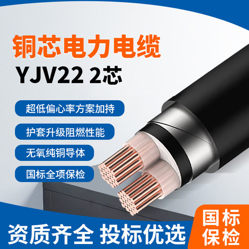 国标铠装铜电缆YJV222芯
