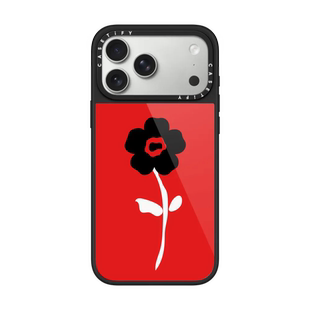 现货CASETiFY送给你的花晶釉框适用苹果iPhone17promax磁吸手机壳17pro釉光背板air小众简约防刮花16pm保护套