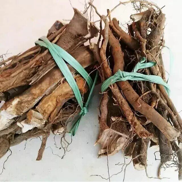 福建福州产草根炖猪脚汤料 乏力草番鸭树根食补材料包400克