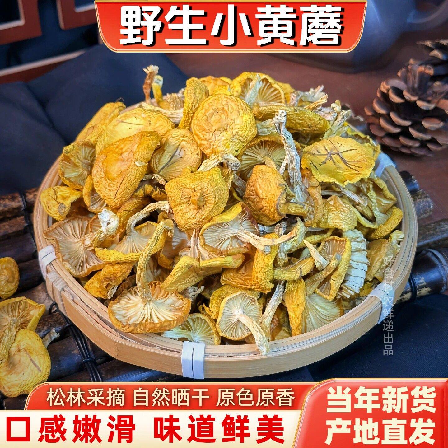 东北野生小黄蘑菇干货黄松蘑黄油蘑菇口感嫩滑煲汤炖鸡干菌菇500g