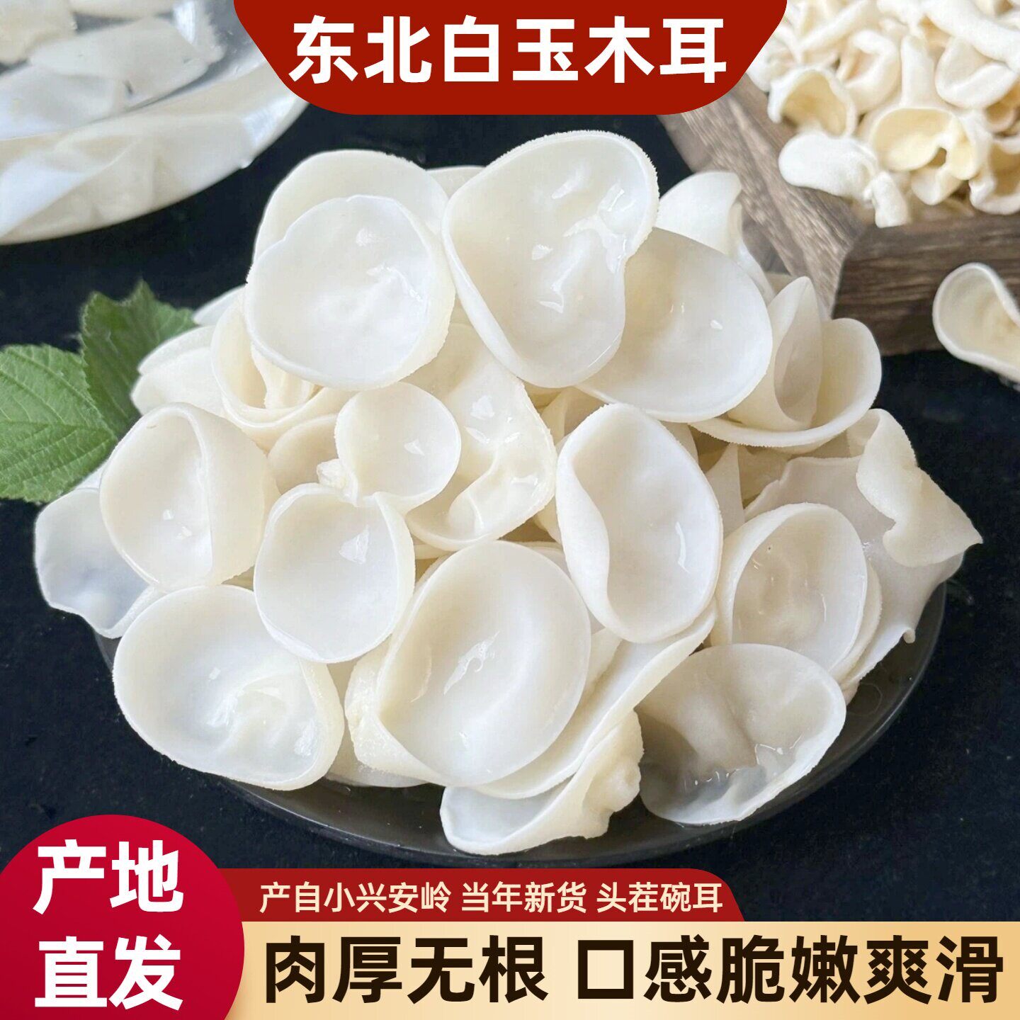 东北特产白玉木耳干货500g小碗耳非野生兔耳菌无根白木耳小朵木耳