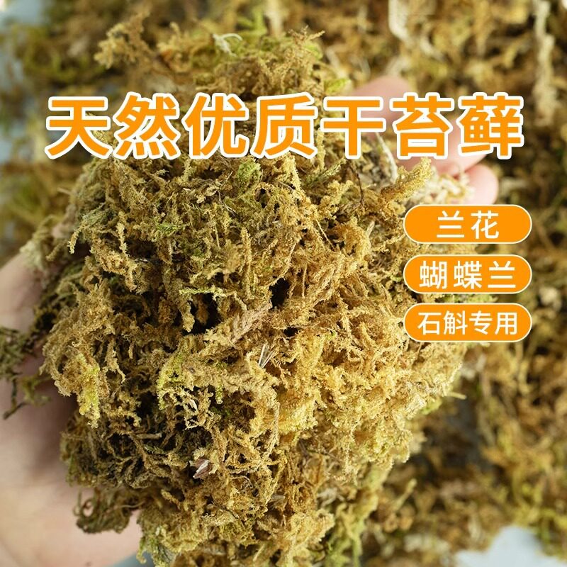 干苔藓水苔纯天然青苔兰花蝴蝶兰