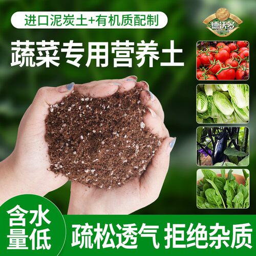 德沃多草莓多肉兰花发财树养花植