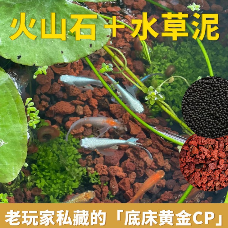 【古法养鱼专用】火山石水草泥不