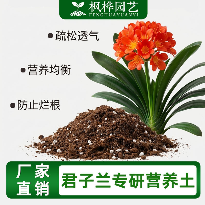 专用土松针腐叶土透气生根兰花土