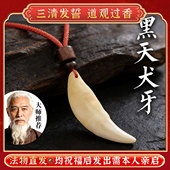 法物正品 以開黑狗牙真品大黑狗牙吊坠男女挂件项链狼牙护身符