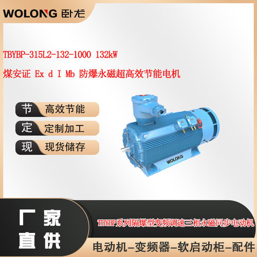 TBYBP-315L2-132-1000 132kW 煤安证 Ex d I Mb 防爆永磁电机