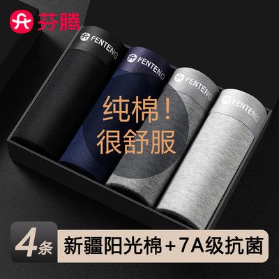 芬腾80S纯棉男士抗菌内裤