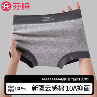 芬腾纯棉内裤 女士中腰小平角全棉抗菌裆简约少女生运动风防夹臀