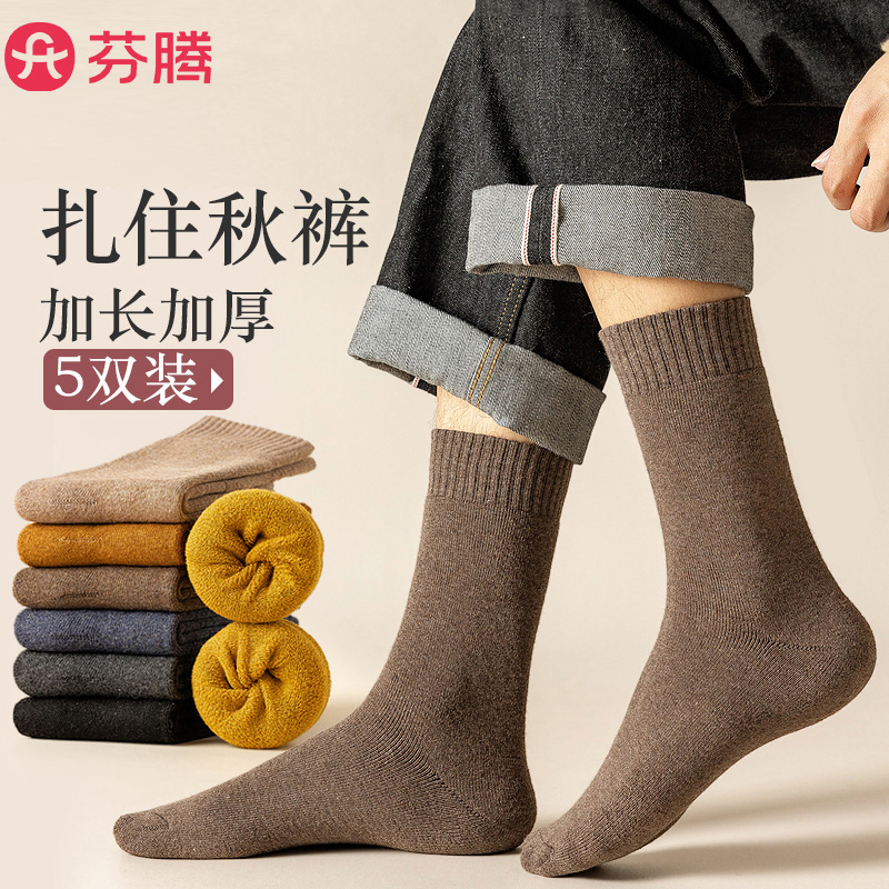 5双-芬腾男士加厚毛圈长筒袜
