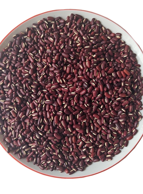 熟赤小豆新货打豆浆磨粉原材料