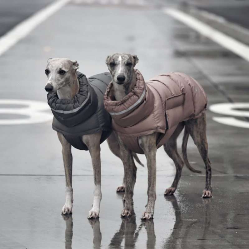 狗狗衣服秋冬款加厚保暖灵缇犬惠比特细犬防风水两腿背心马甲棉衣