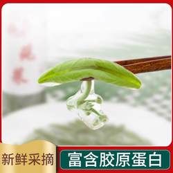 苏州太湖莼菜新鲜纯菜包邮现采食用马蹄菜非西湖利川莼菜320g袋装