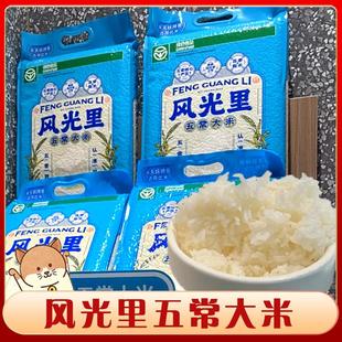 官方旗舰店风光里五常大米米村拌饭半天妖烤鱼门店同款米饭