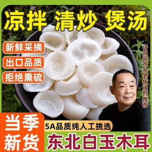 东北白玉木耳干货出口级长白山特产黑木耳白背肉厚无根官方旗舰店