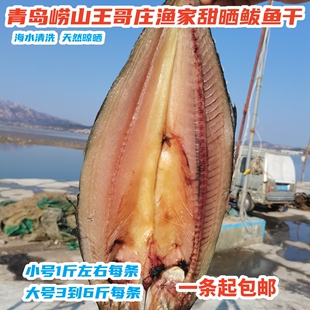包装方式青岛崂山天田甜晒一卤鲜蓝点马鲛鲅鱼干海水清
