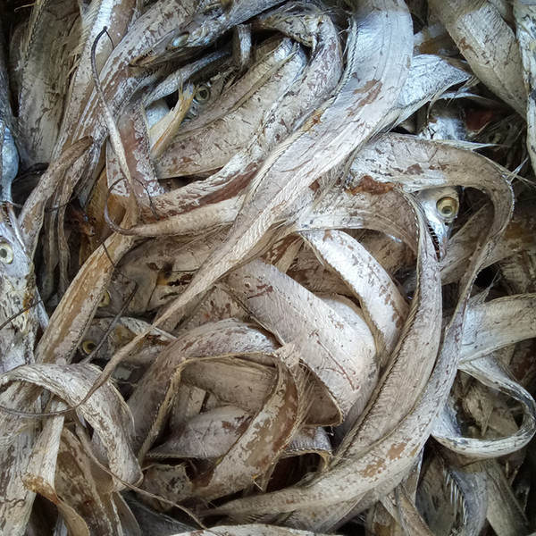 宁波特产舟山野生风干带鱼干干货小眼睛带鱼丝烤咸带鱼干散装海鲜