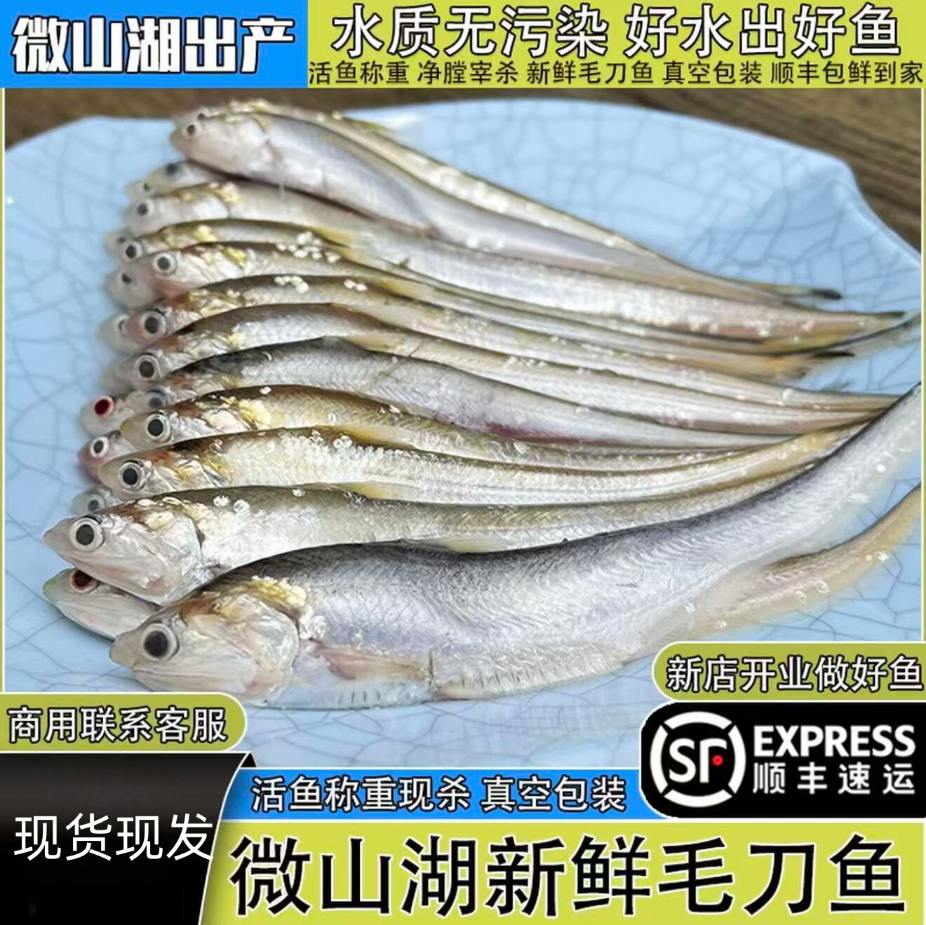 微山湖淡水特大中号刀鱼清蒸油煎