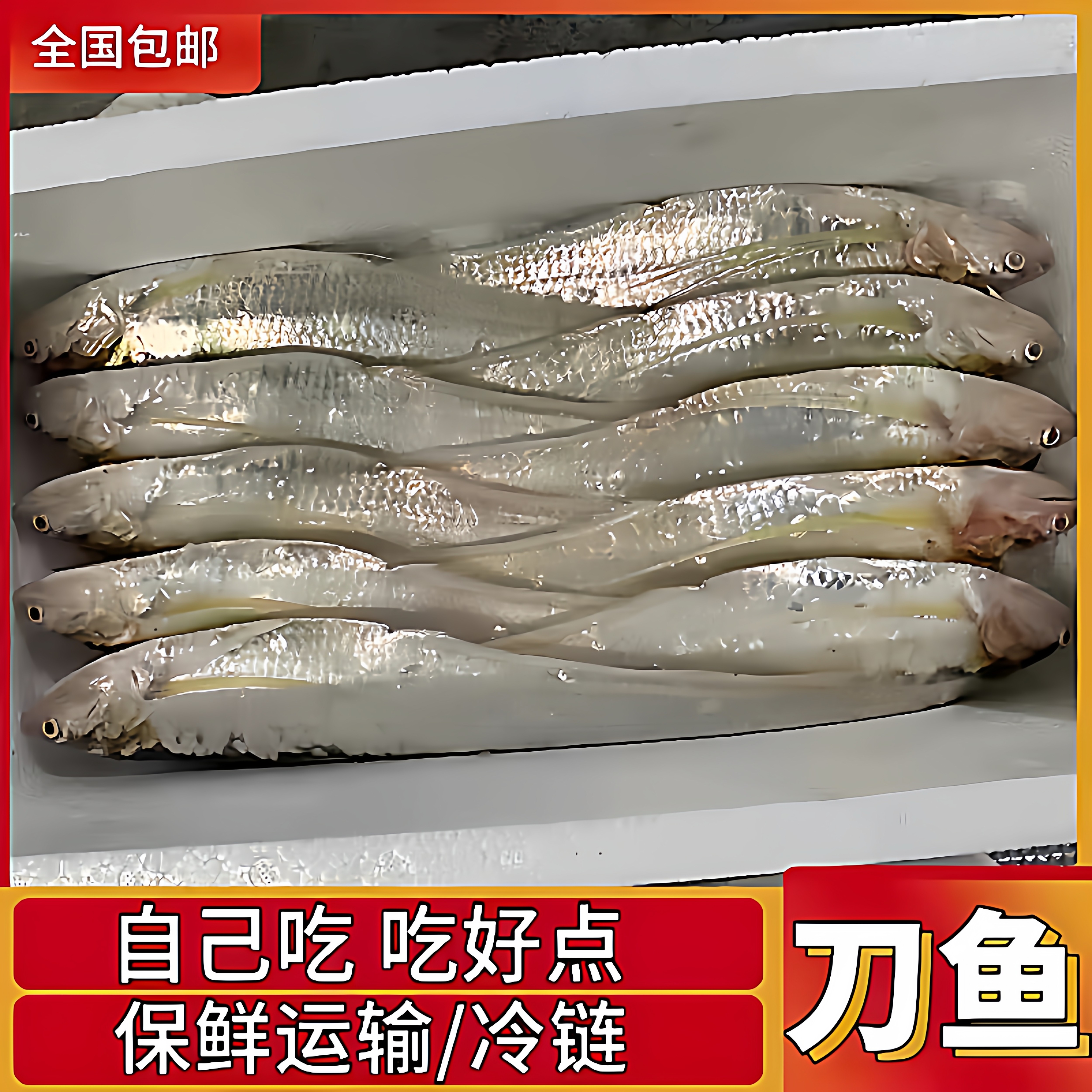 微山湖淡水生态鲜刀鱼凤尾鱼毛刀鱼酒店饭店油炸油煎清蒸