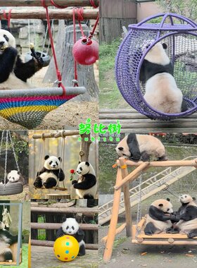 动物园熊猫观赏玩具秋千吊盘攀爬旋转椅动物跷跷板滑梯钻洞玩具