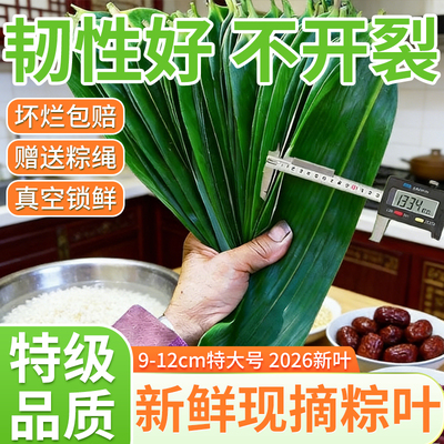 【坏烂包赔】粽叶新鲜粽子叶大号干旗舰店送粽绳端午节包粽子专用