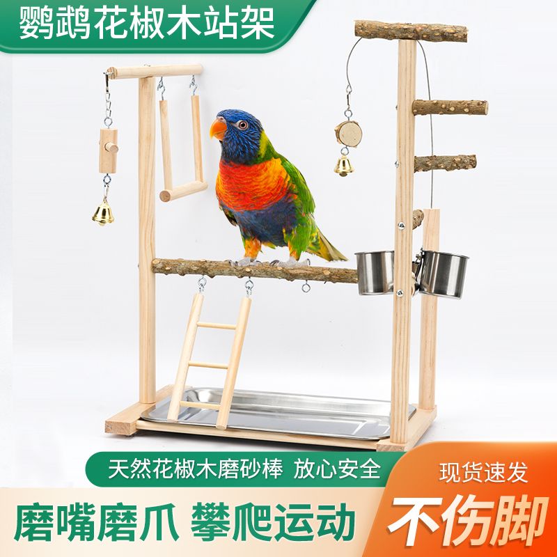 玄凤游乐场牡丹虎皮鹦鹉