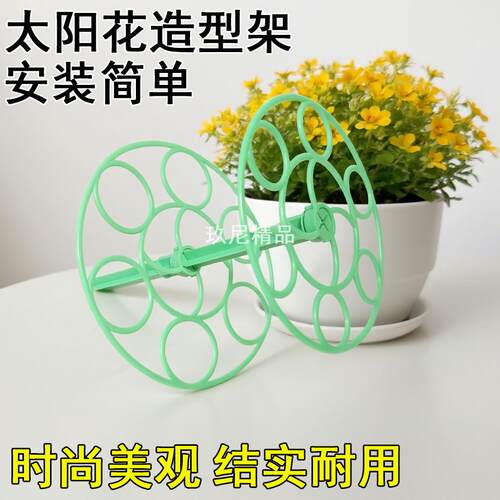 太阳花支架棒棒糖花架爬藤嫁接固定支撑架单层多层蟹爪兰花架造型