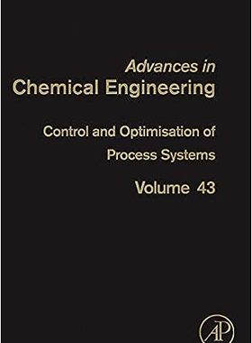 现货 英文原版 过程系统的控制与优化（第 43 卷）（化学工程进展，第 43 卷）Control and Optimisation of Proc 9780123965240
