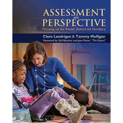 现货英文原版Assessment in Perspective:Focusing on the Readers Behind the Numbers 9781571109644
