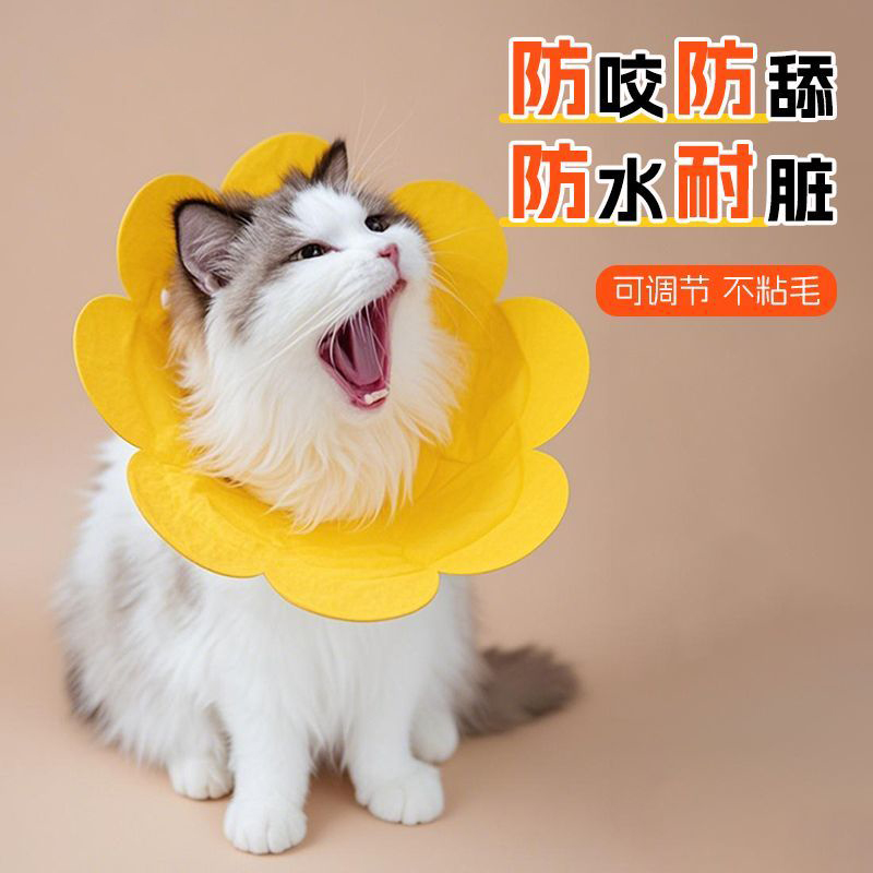 伊丽莎白圈猫咪绝育项圈脖套止舔