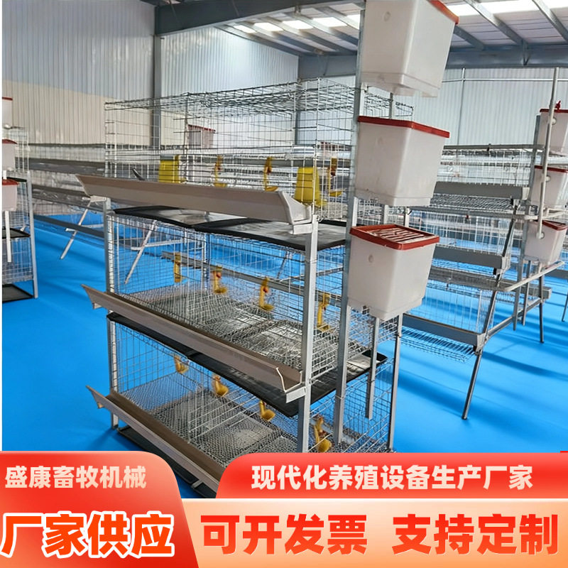 立式多层叠式肉鸡笼子防夹防跑小鸡笼畜牧农用带清粪托盘肉鸡笼