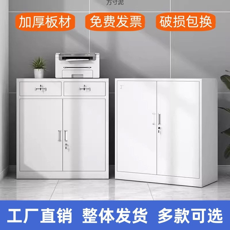 铁皮文件柜多层储物柜办公带抽屉资料柜书柜橱柜鞋柜卷柜带锁矮柜